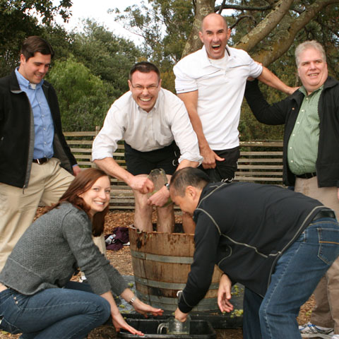grape stomp competition